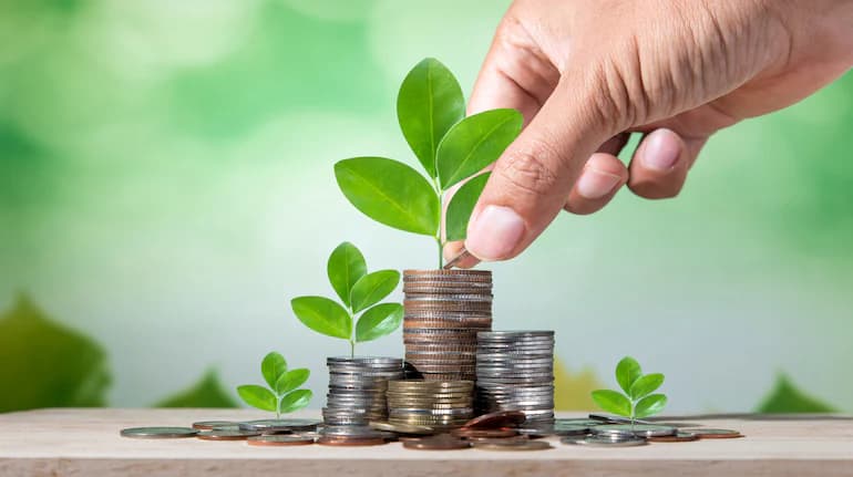 💰 What is Investment? A Simple Guide for Everyone